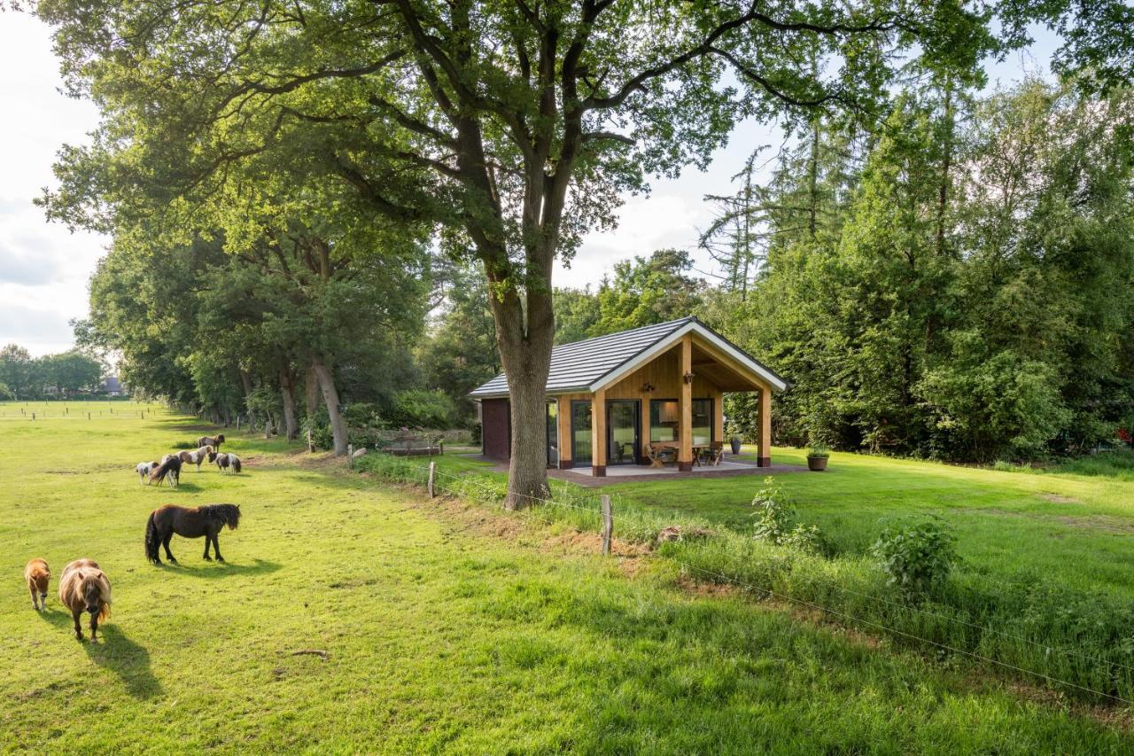 Bungalowpark Bij De Bronnen Nutter Exteriör bild
